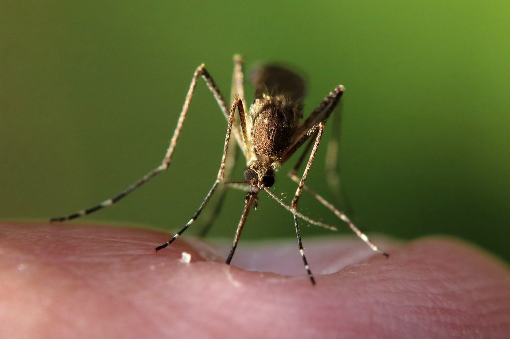 mosquito and tick treatment in New Jersey